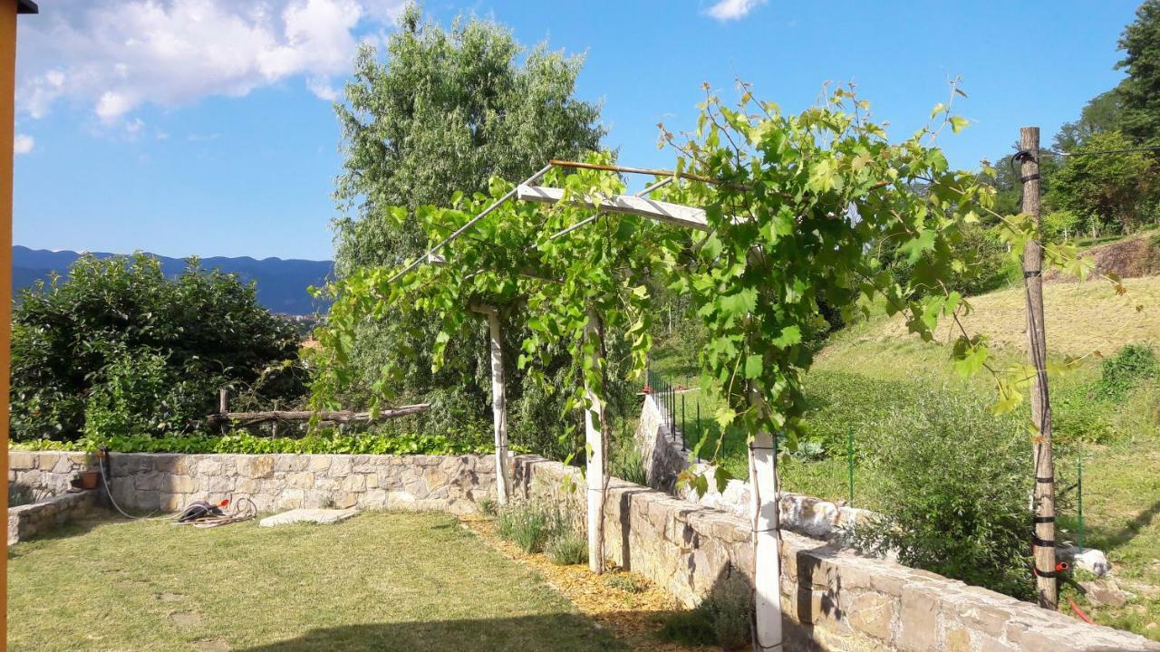 Pocitniska Hisa Casa de hóspedes Dobravlje Exterior foto
